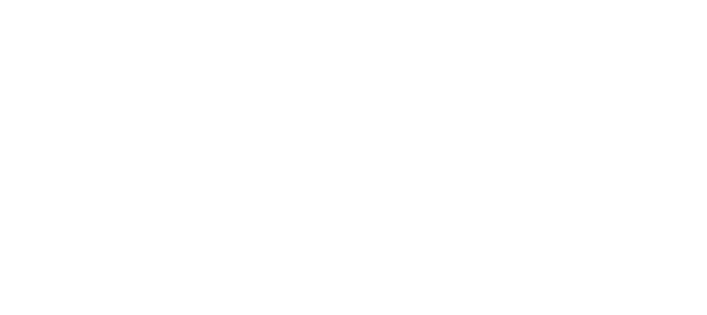 Orbital Paradigm logo